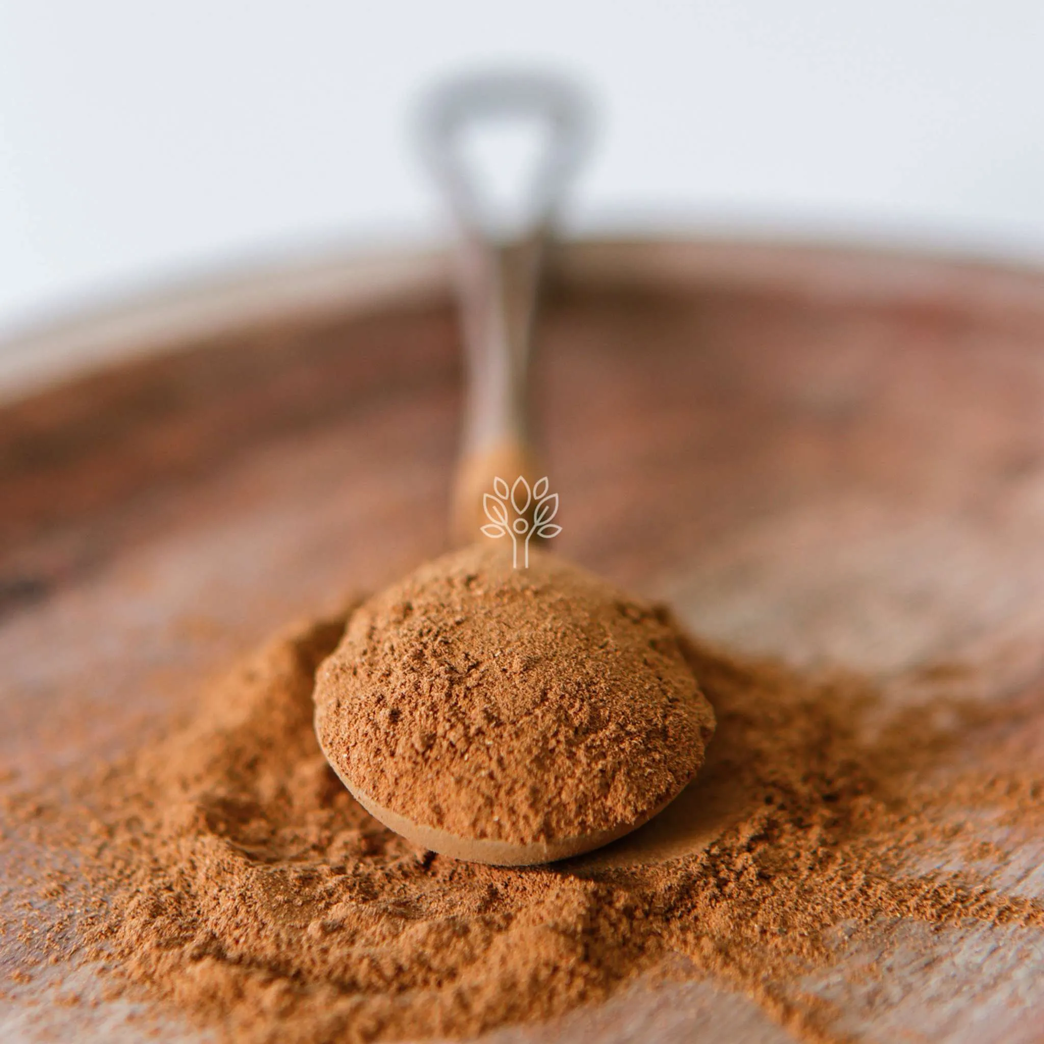 Cinnamon Spice - Image 3