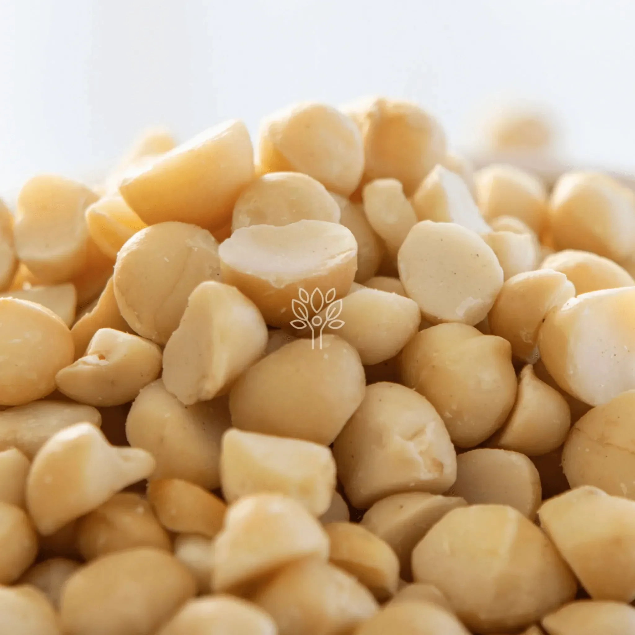 Macadamia Nuts - Image 2