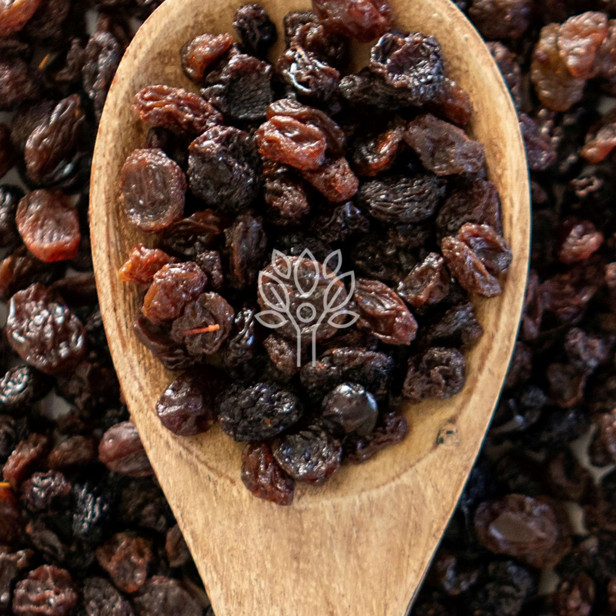 Raisins - Image 3