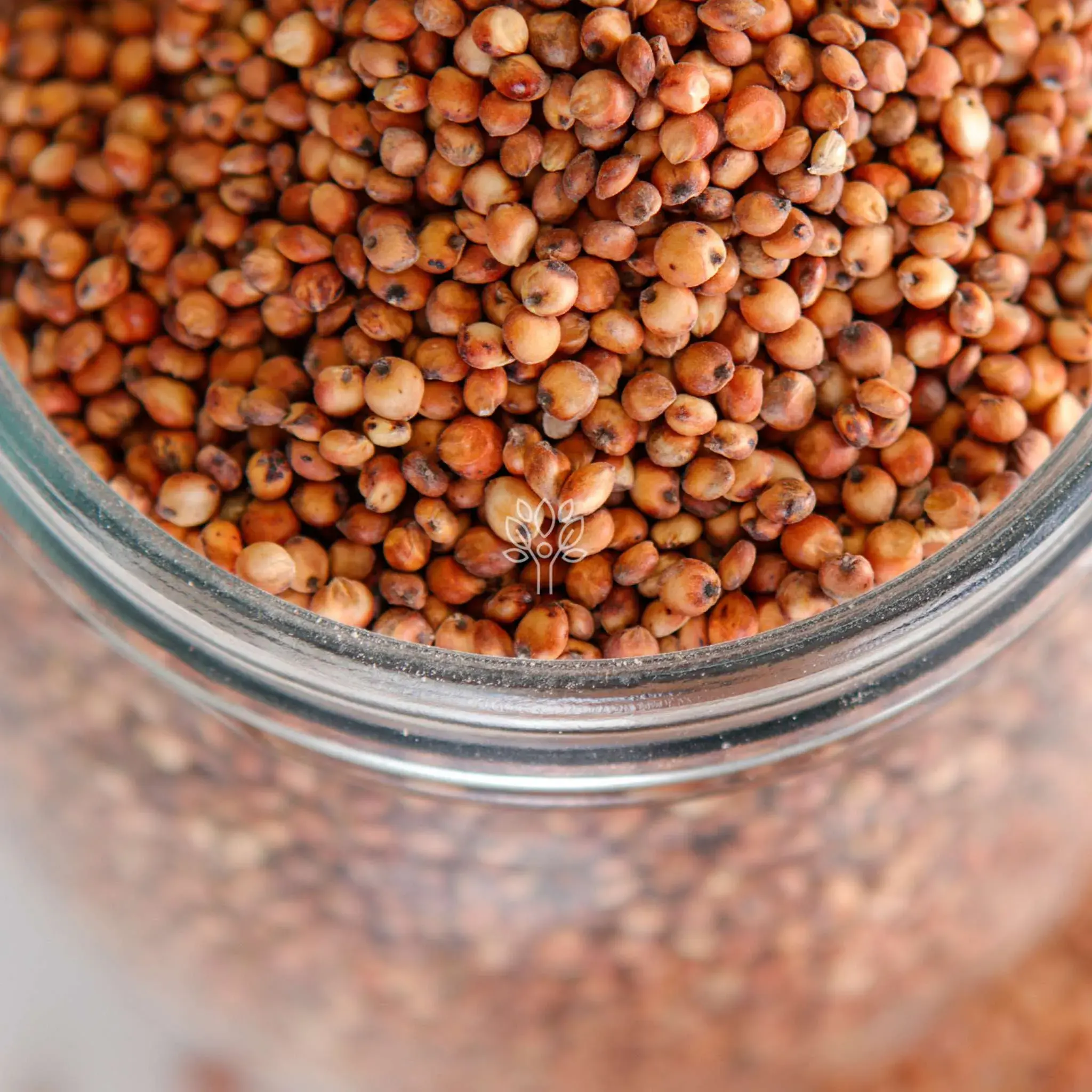 Red Sorghum - Image 2